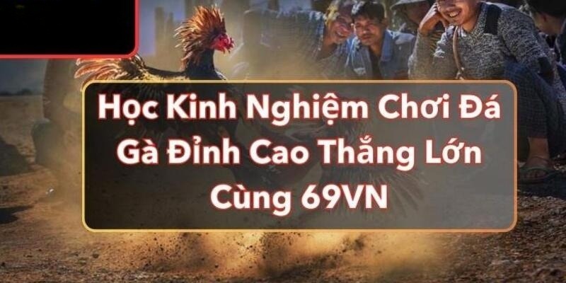 Kinh nghiệm chơi đá gà dễ thắng từ chuyên gia